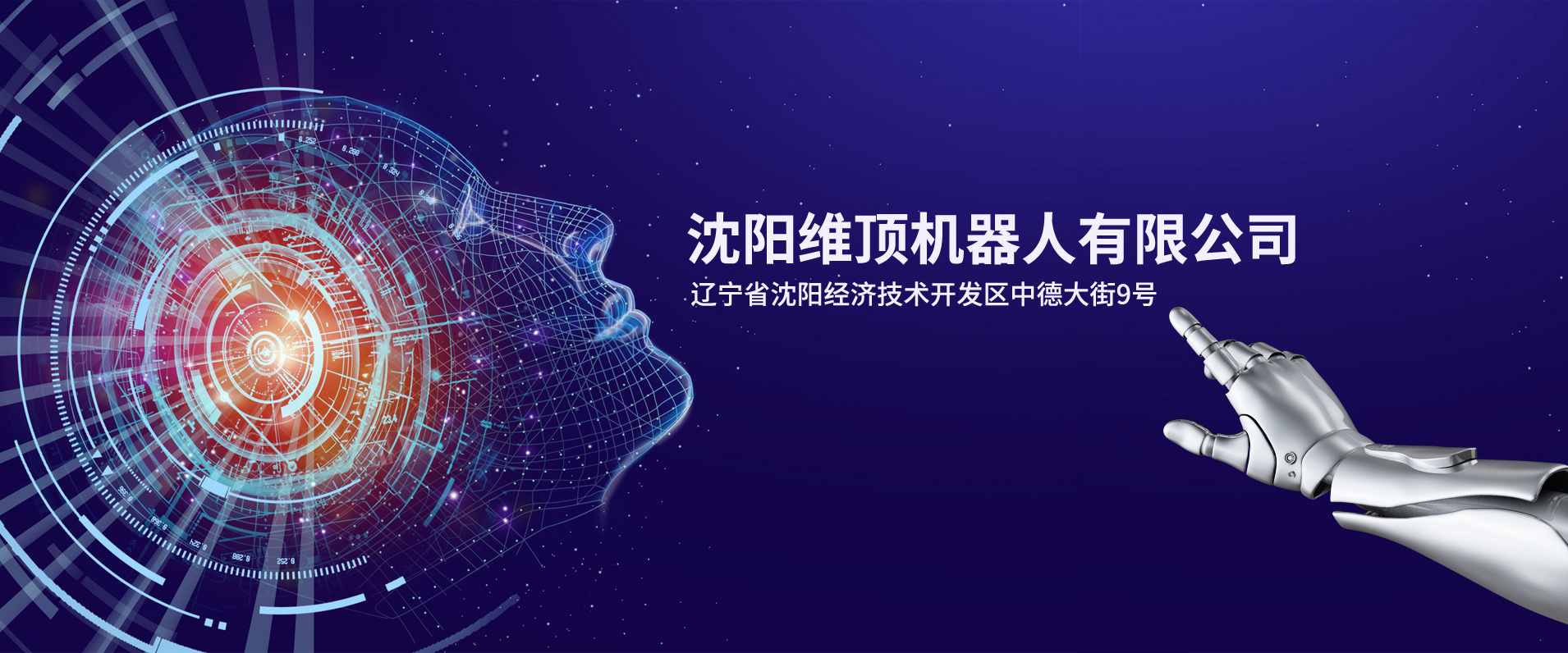 沈阳乐虎LEHU机器人有限公司